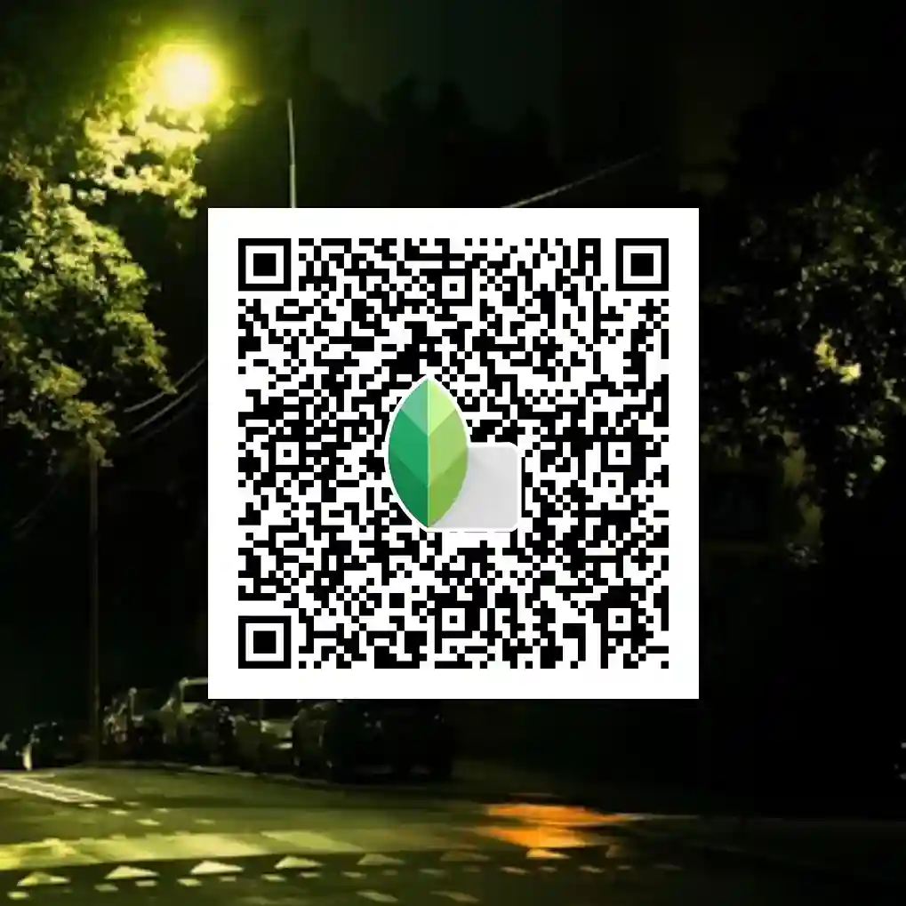 Best Snapseed QR Codes Night Presets 9 Snapseed QR Codes Night Garden