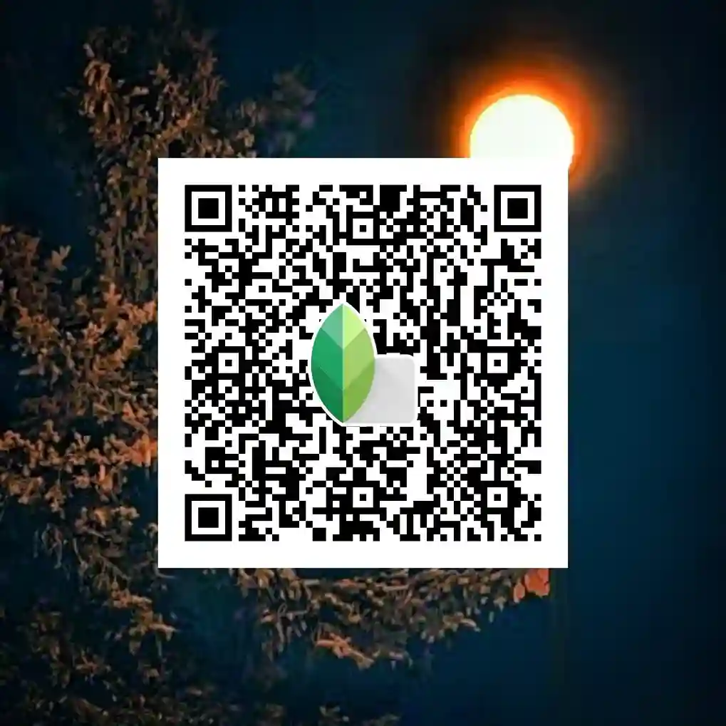 Best Snapseed QR Codes Night Presets 8 Snapseed QR Codes Night Garden