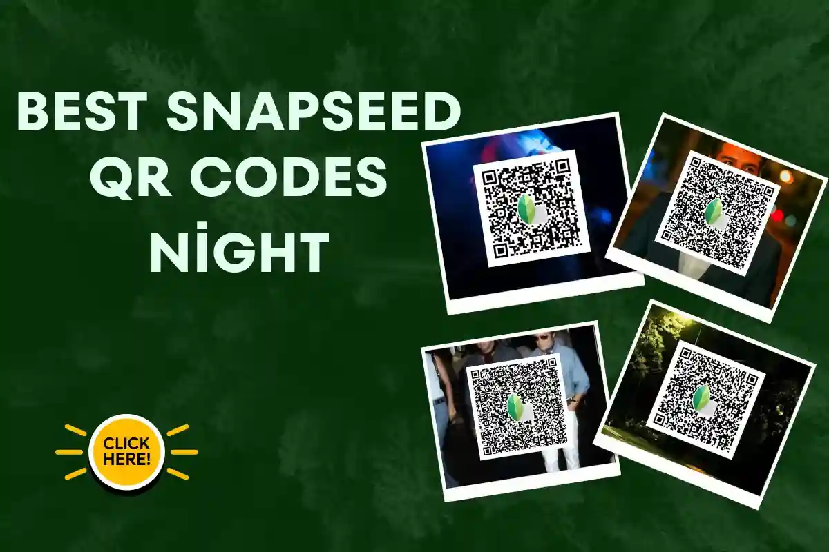 Snapseed QR codes night