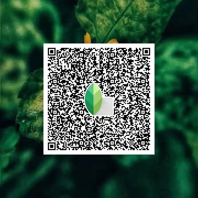 Home 74 Snapseed green Qr codes