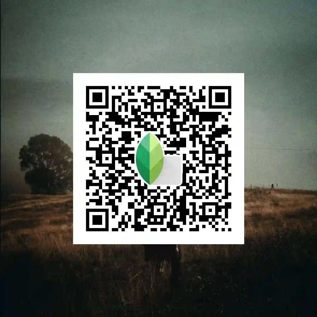 Home 78 Cinematic Filter QR Code