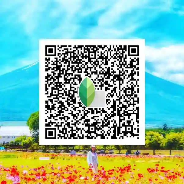Home 40 Snapseed Qr Codes lightroom