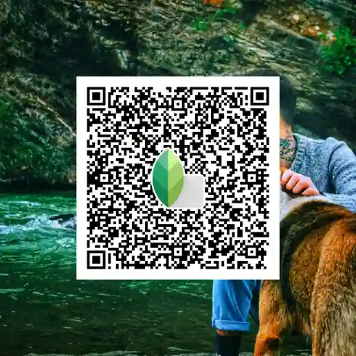 Home 44 Snapseed Qr Codes lightroom