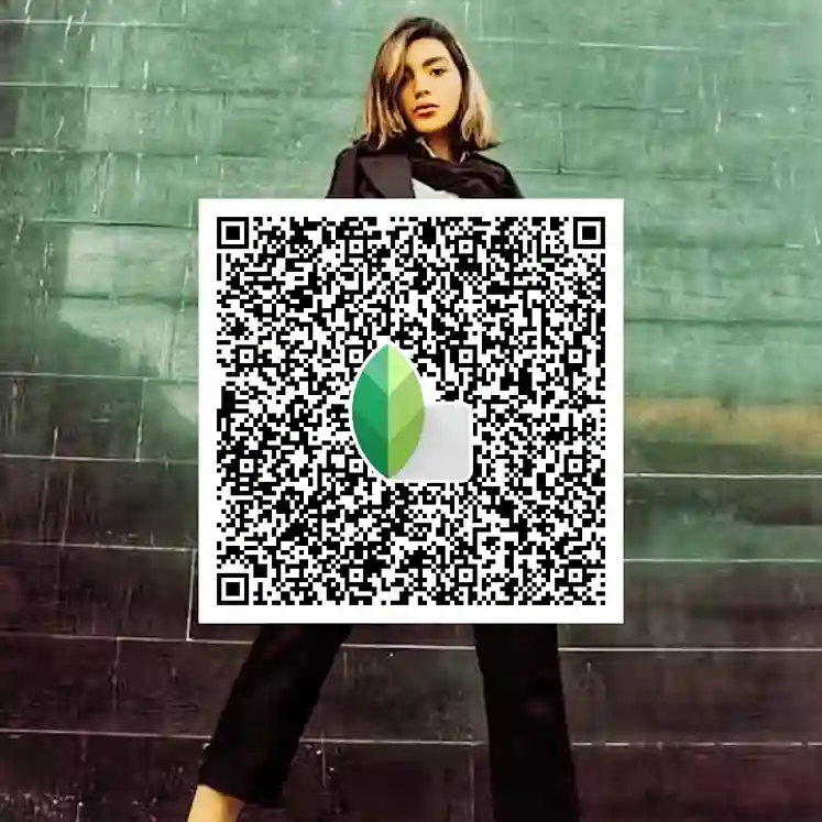 Home 29 snapseed qr codes