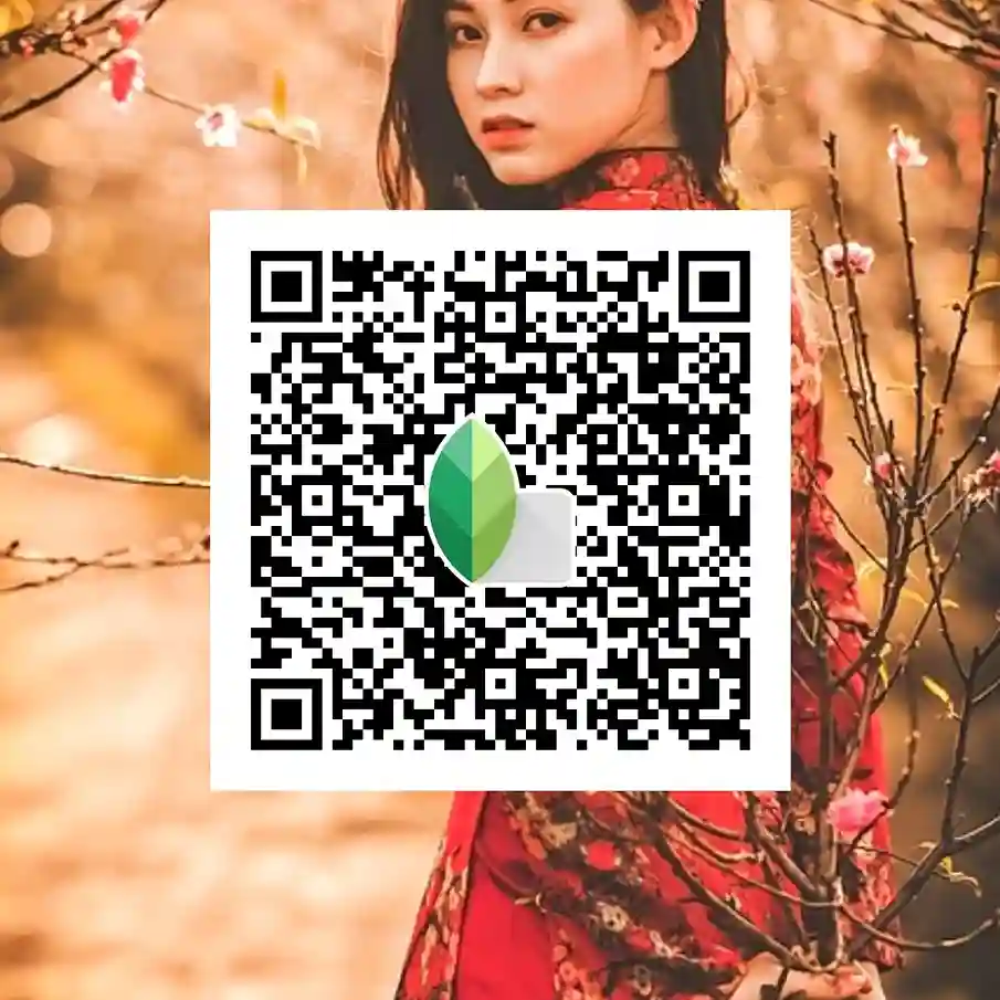 Home 18 Top Snapseed QR Codes Preset