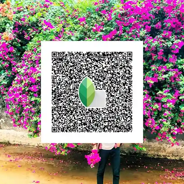 Snapseed QR codes Pinterest 7 Sunny Aesthetic Snapseed QR codes Presets
