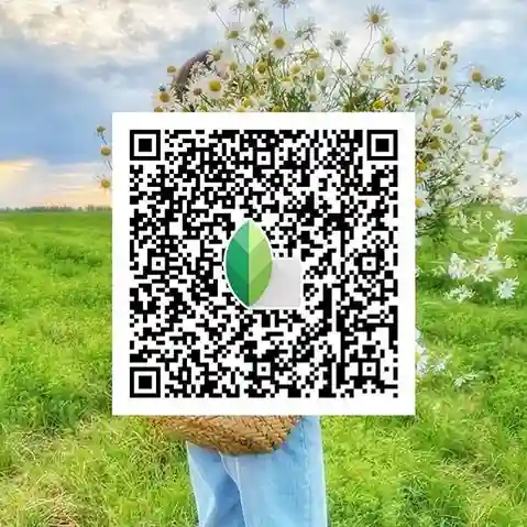 Snapseed QR codes Pinterest 10 Sunny Aesthetic Snapseed QR codes Presets