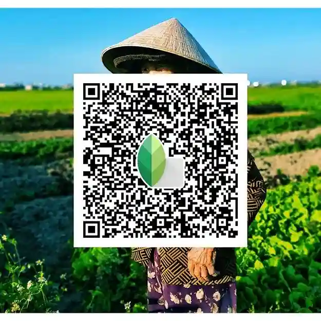 Snapseed QR codes Pinterest 8 Sunny Aesthetic Snapseed QR codes Presets