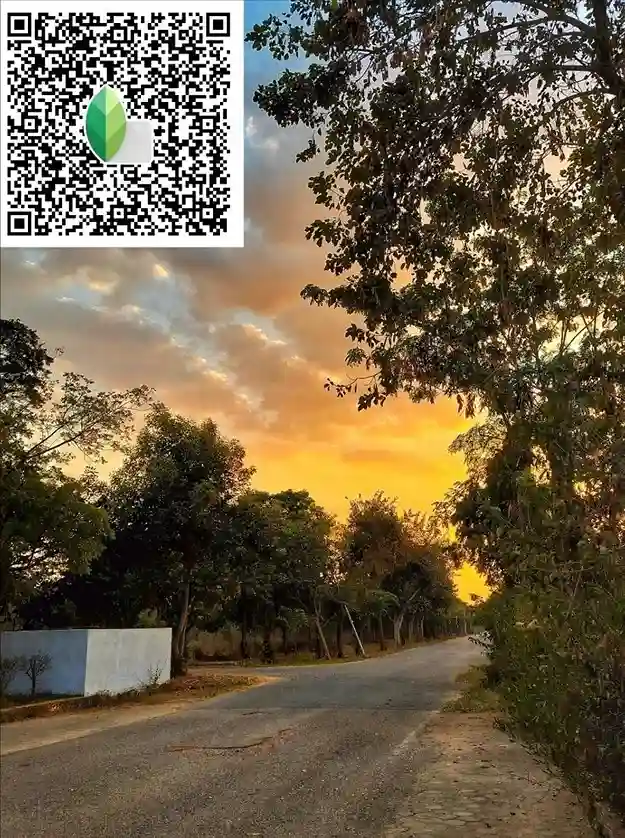 Snapseed QR codes Pinterest 5 Sunny Aesthetic Snapseed QR codes Presets