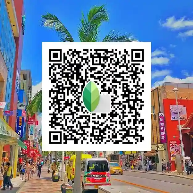 Snapseed QR codes Pinterest 6 Sunny Aesthetic Snapseed QR codes Presets