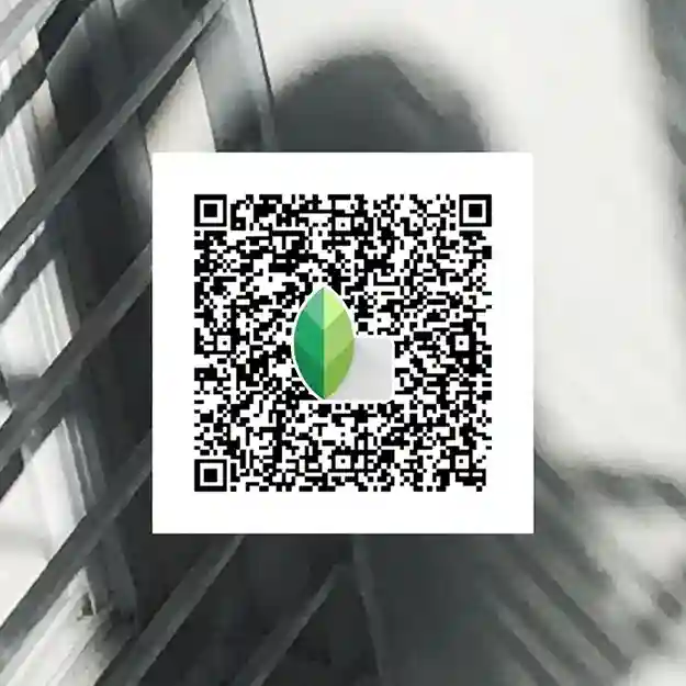 Snapseed QR codes Pinterest 15 Black & White Simple Snapseed Preset