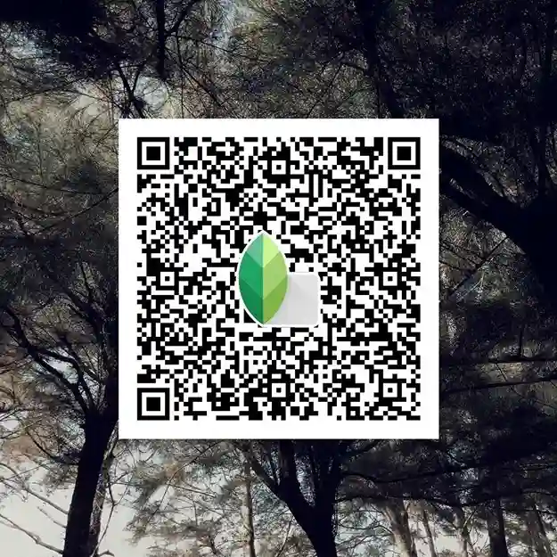 Snapseed QR codes Pinterest 11 Snapseed QR codes pinterest