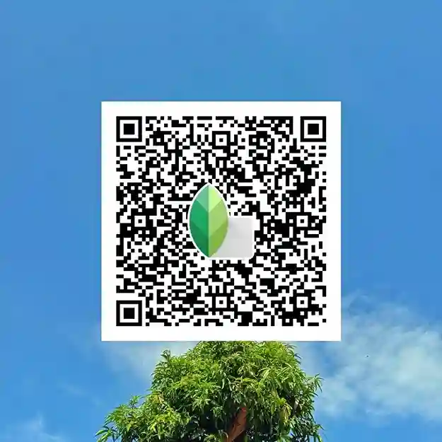 Snapseed QR codes Pinterest 33 best Snapseed QR codes
