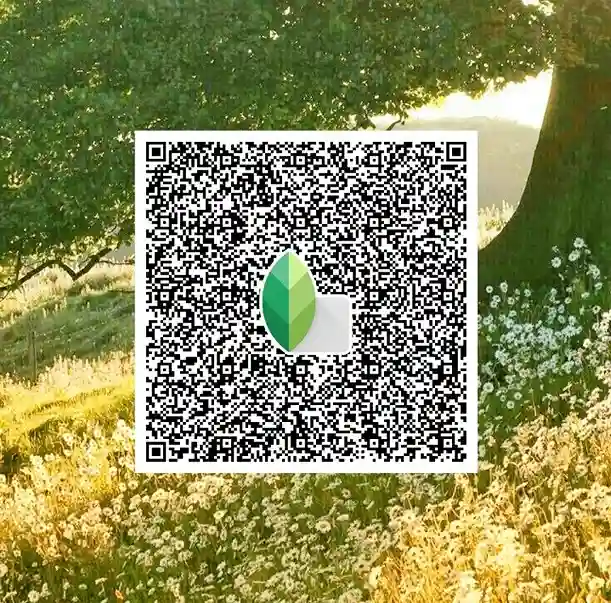 Snapseed QR codes Pinterest 39 best Snapseed QR codes