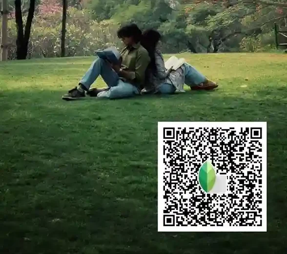 Snapseed QR codes Pinterest 25 Autumn Snapseed Preset