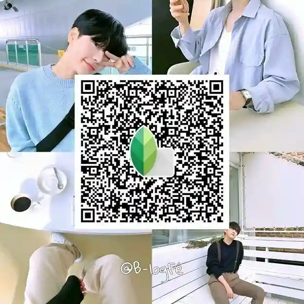 Snapseed QR codes Pinterest 20 Autumn Snapseed Preset