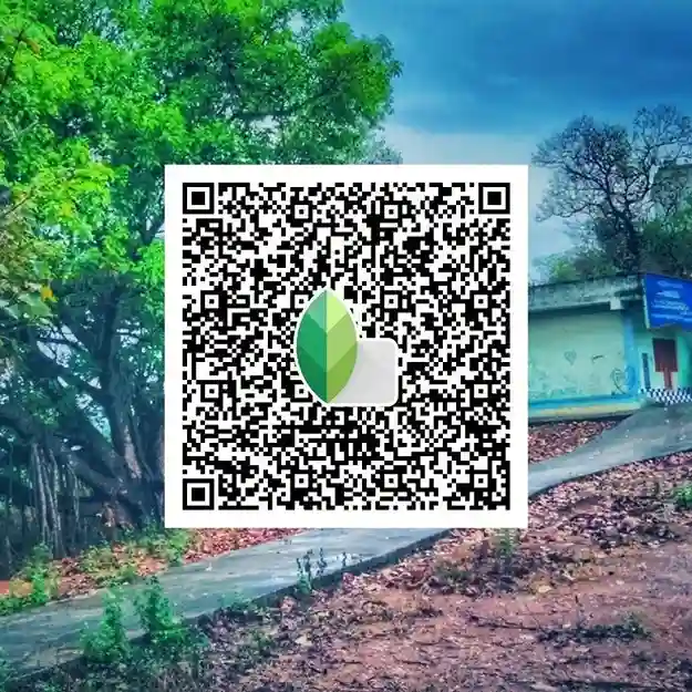 Snapseed QR codes Pinterest 21 Autumn Snapseed Preset