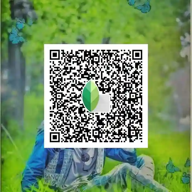 Snapseed QR codes Pinterest 24 Autumn Snapseed Preset