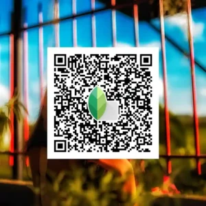 Snapseed QR codes